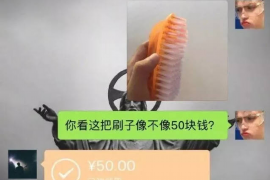 南召企业清欠服务